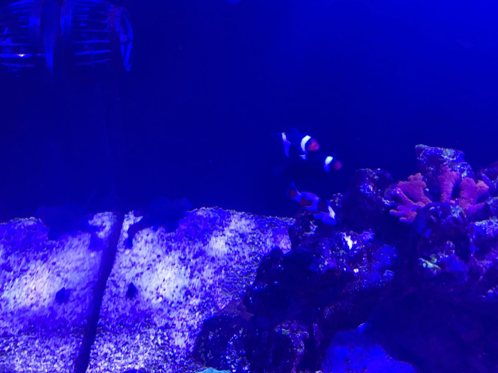Main image 6