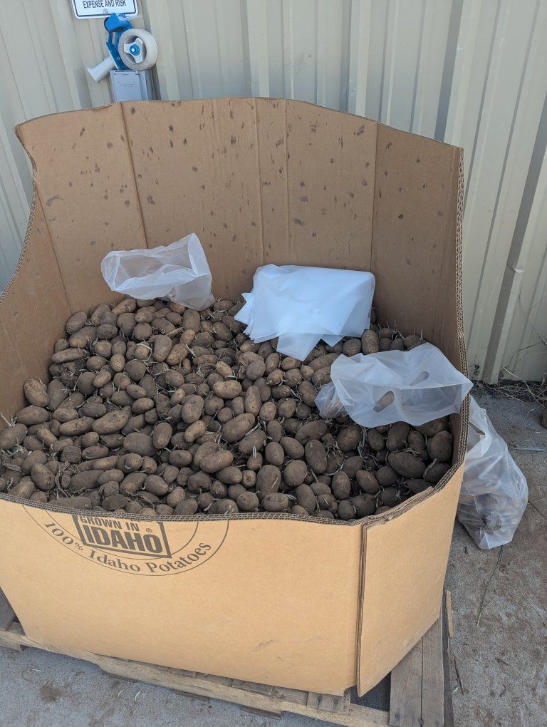 21 pallets of free potatoes