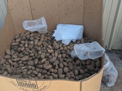 21 pallets of free potatoes