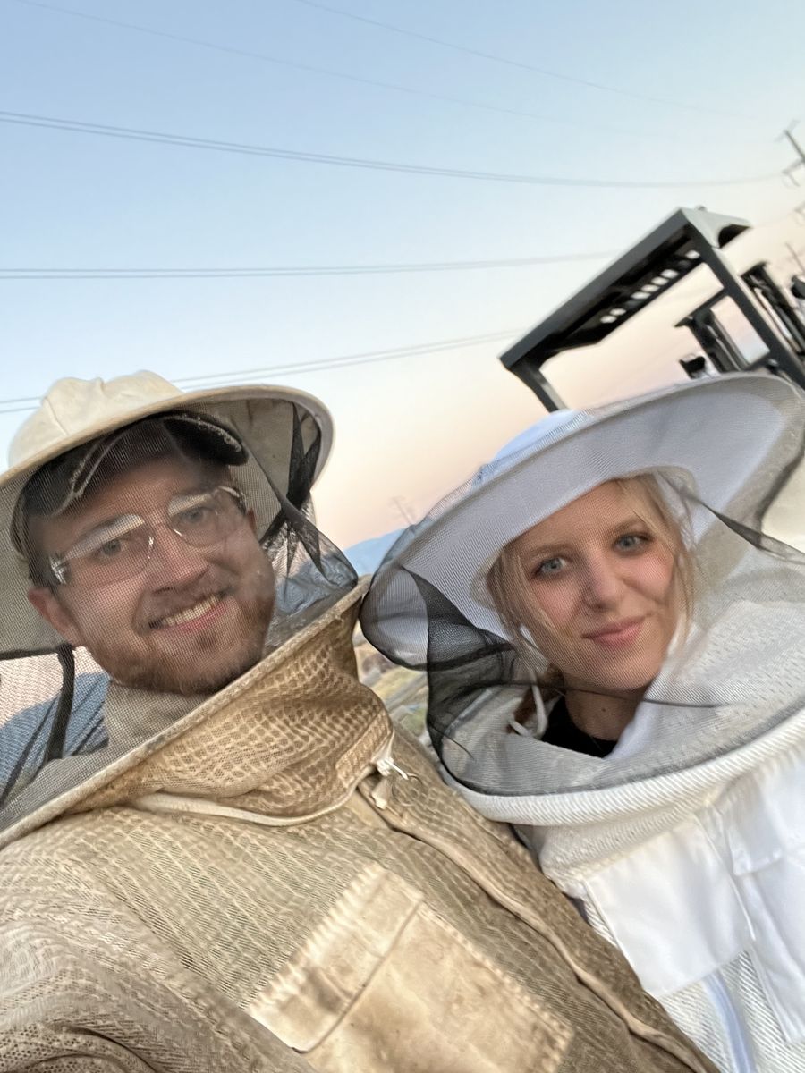 Locally Sourced Spring Honeybees! nucs and packages