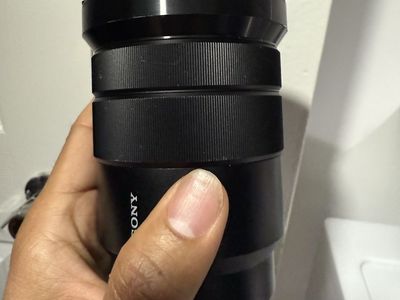 Sony 18-105 f4 E