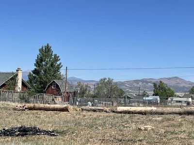 Firewood-$100