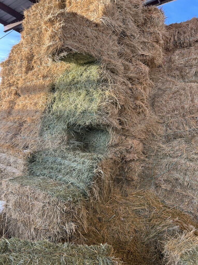 Grass Hay $10