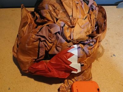 Inflatable Dinosaur Costume | Adult