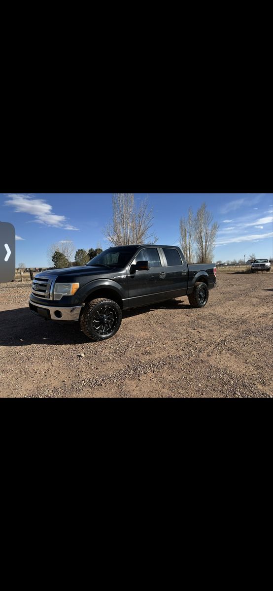 2010 Ford F-150 XLT