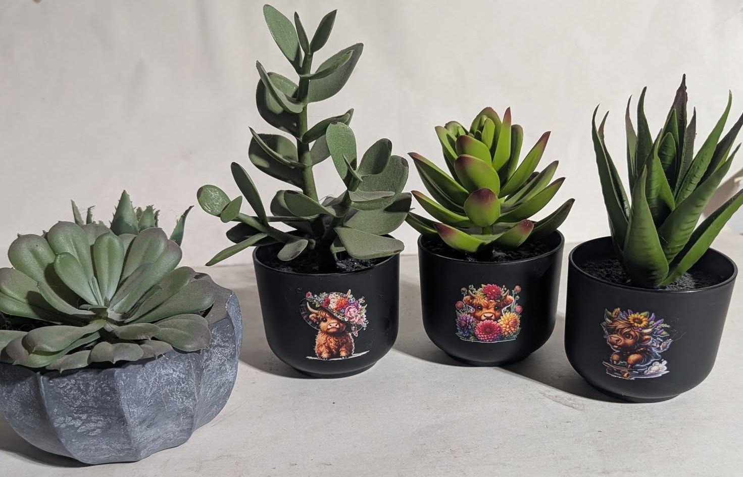 Faux Succulent Plants (3 with Spring Highland Cows)
