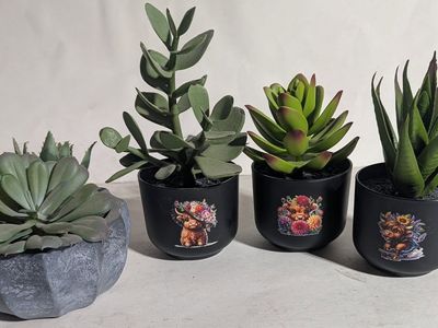 Faux Succulent Plants (3 with Spring Highland Cows)