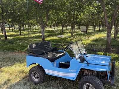 Mini jeep