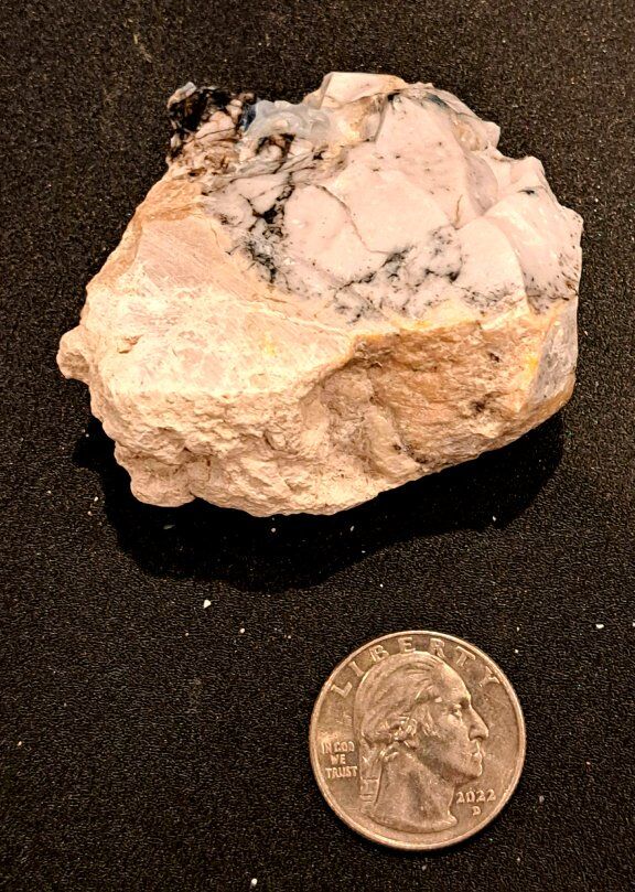 High Contrast Rough Dendritic Opal - 2.54 OZ