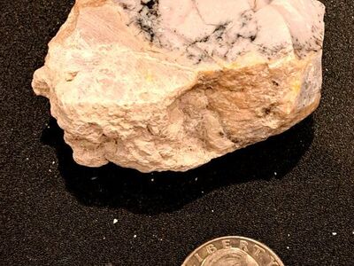 High Contrast Rough Dendritic Opal - 2.54 OZ