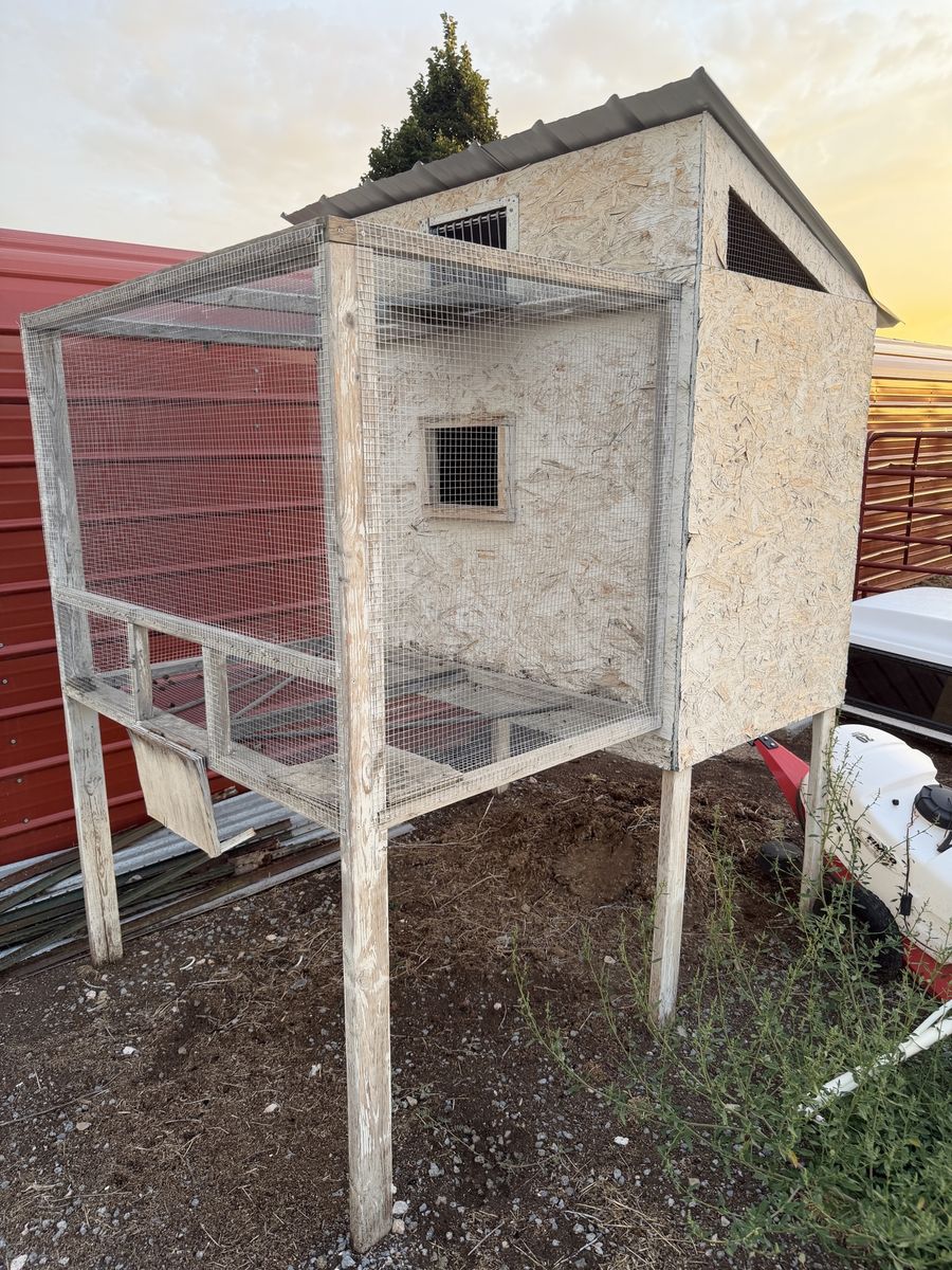 Pigeon loft