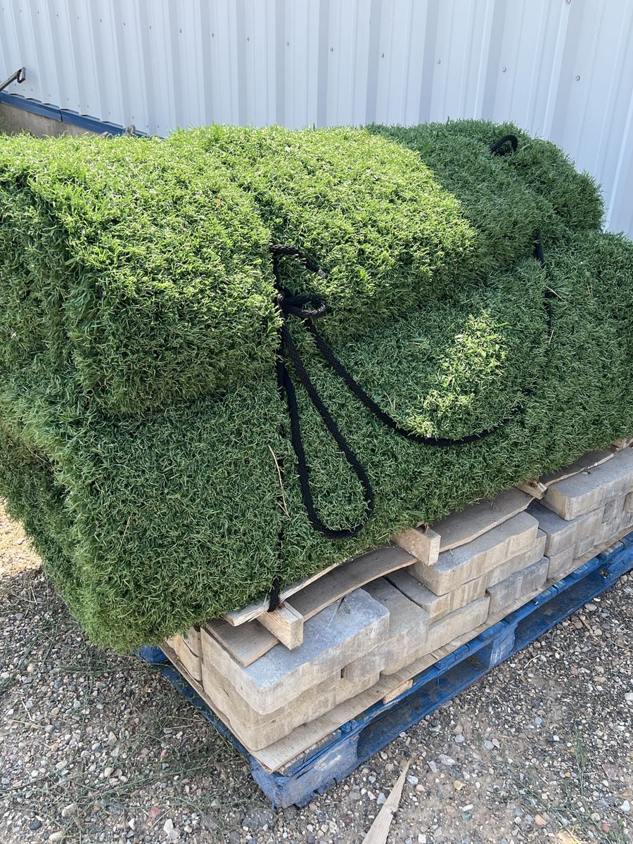 Artificial Turf 3 Rolls on Pallet - Synthetic Grass Lawn