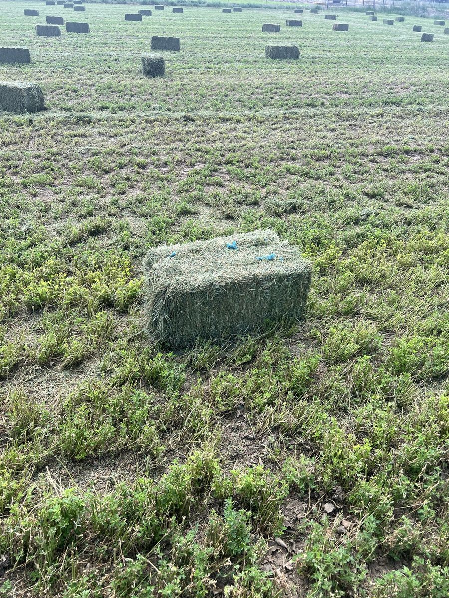 Main image 3