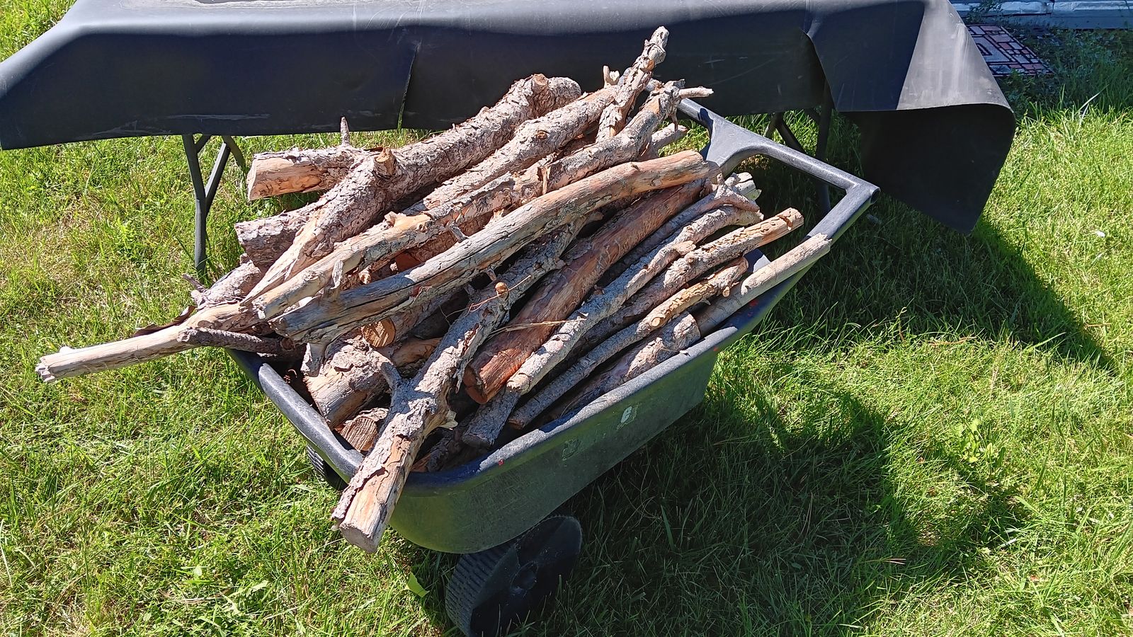 2 Year Old Pine Firewood- $10 per wheel barrow wheel barrow not included