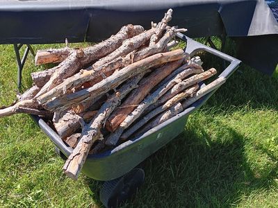 2 Year Old Pine Firewood- $10 per wheel barrow wheel barrow not included