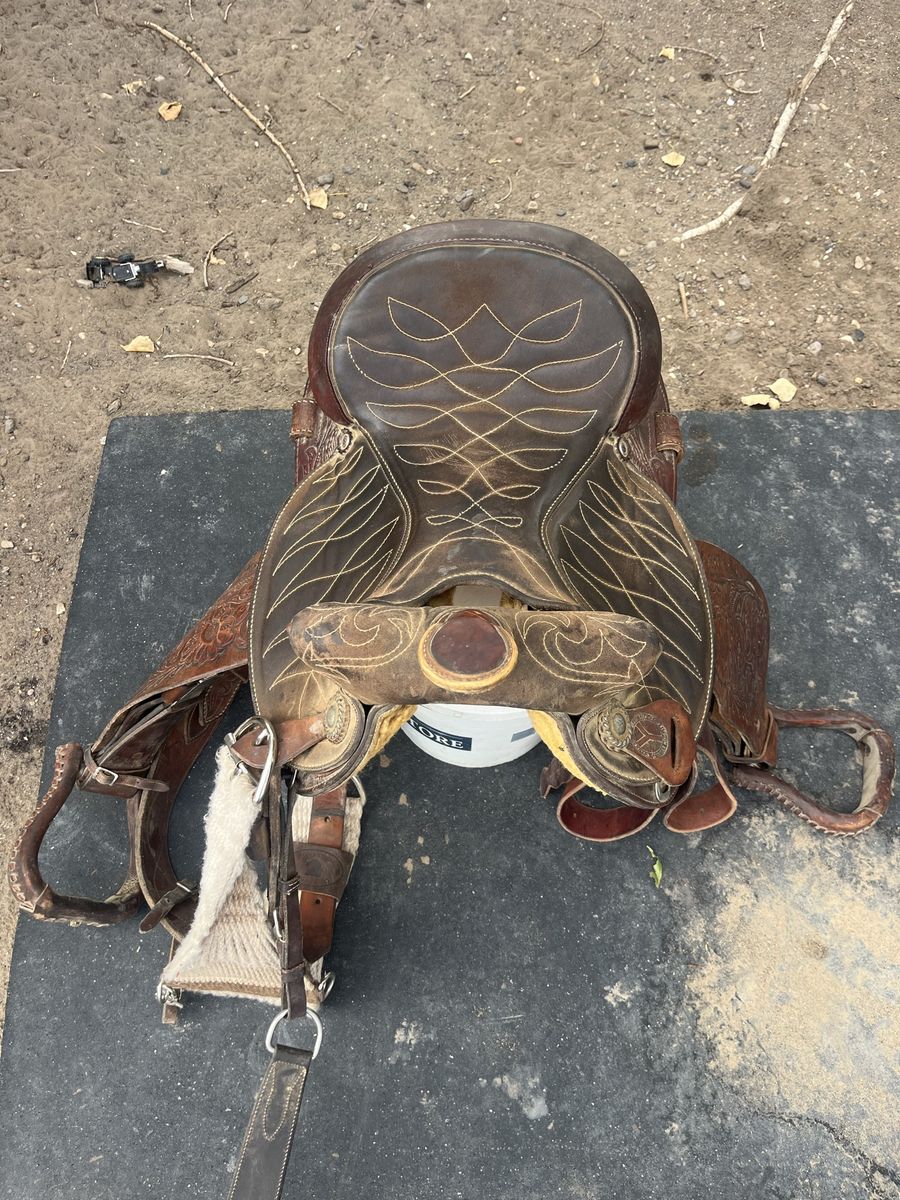 Circle y saddle 