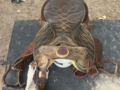 Circle y saddle