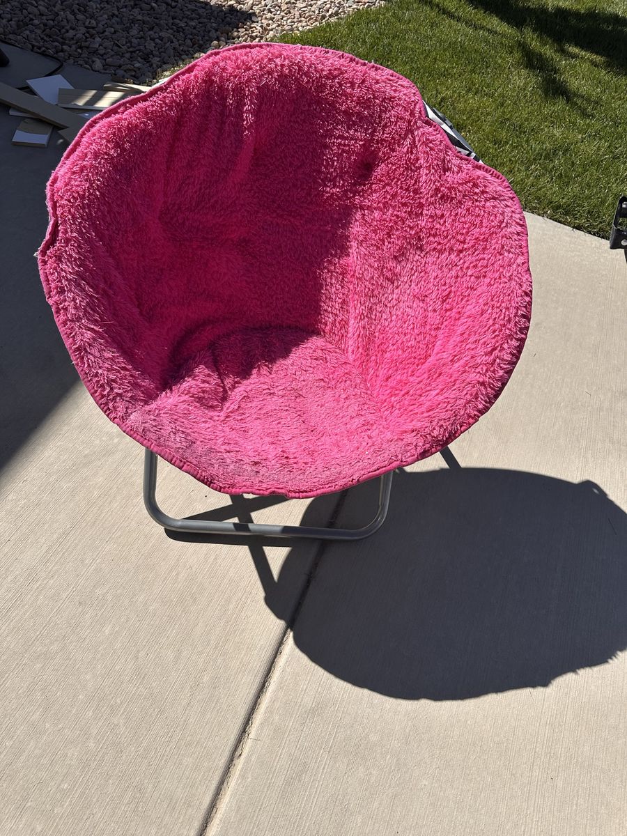Zebra and pink saucer chair