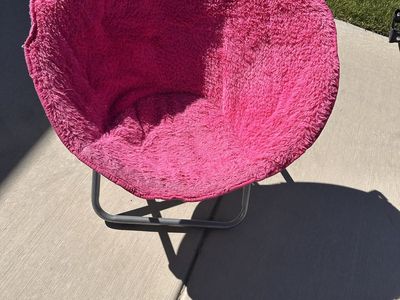 Zebra and pink saucer chair