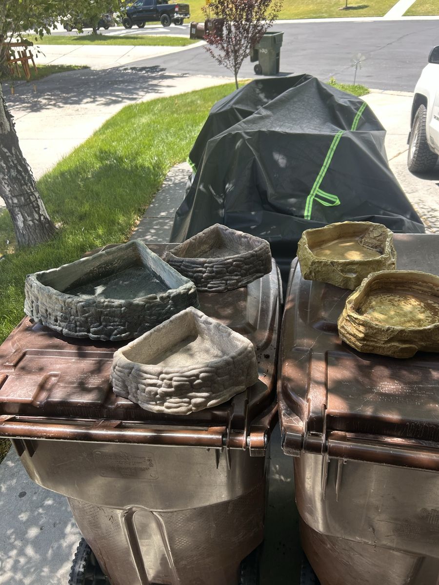 Reptile bowls