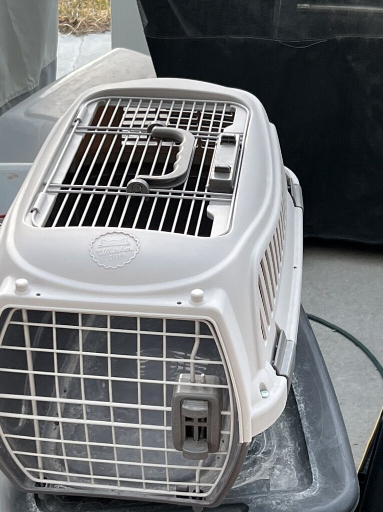 small Dog or Cat carier