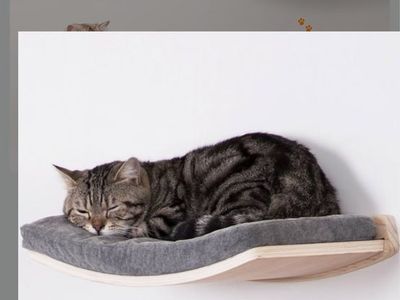Wall-Mounted Curved Wooden Cat Shelf Perch with Grey Cushion Bed