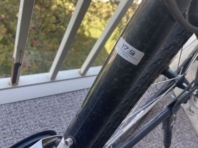 Trek FX 1