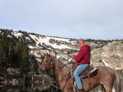 Bullet proof, Registered Red Roan mare