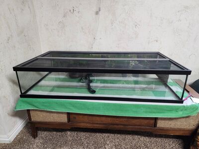 Terrarium, long and shallow