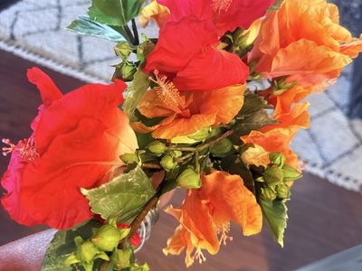 Artificial Tropical Hibiscus Flower Stems Red and Orange Silk Flowers