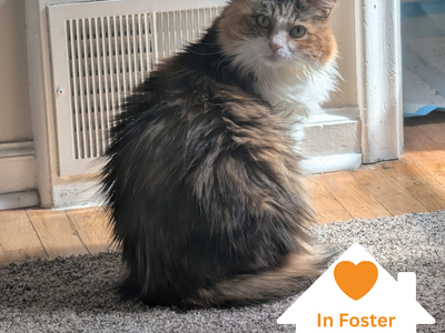 Hello my name is Danita