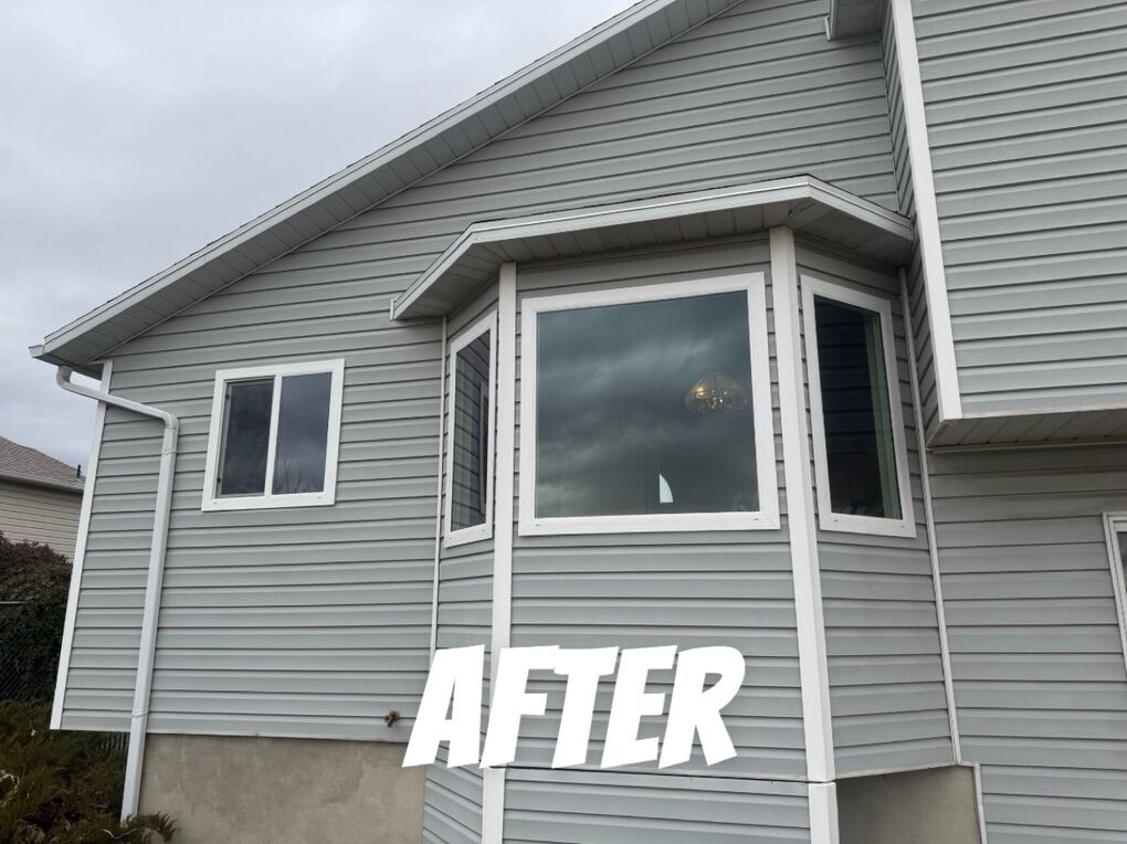 NEED NEW WINDOWS OR GLASS?