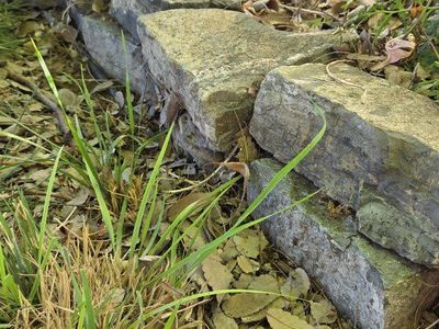 Natural Rock Edging