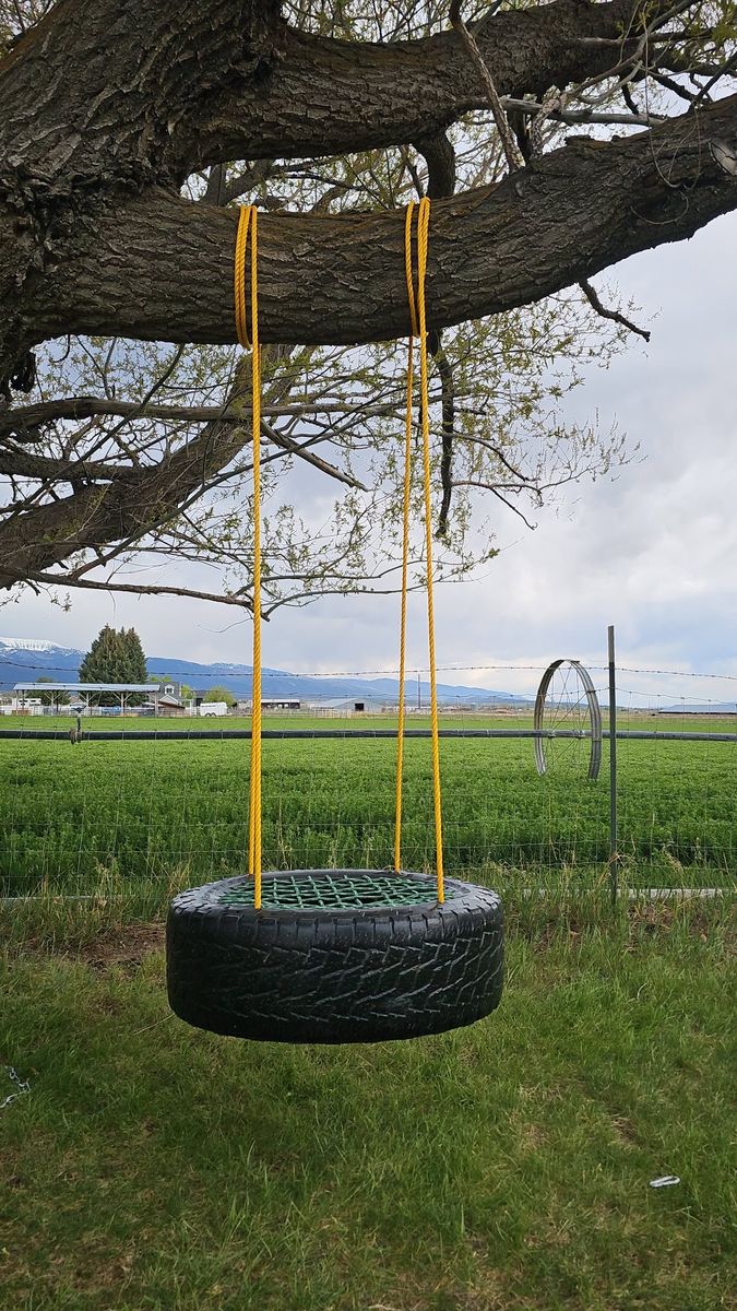 Tire Swing
