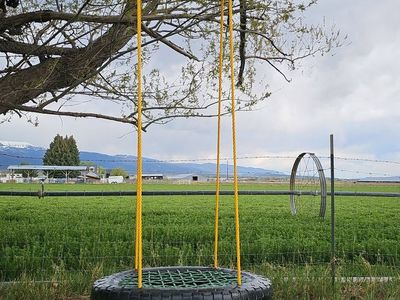 Tire Swing