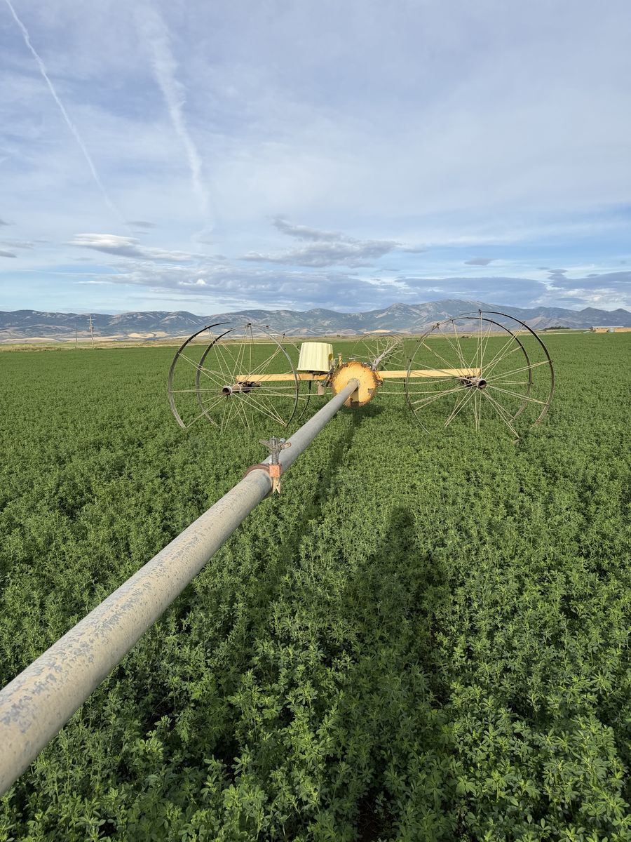 Irrigation Wheel Lines