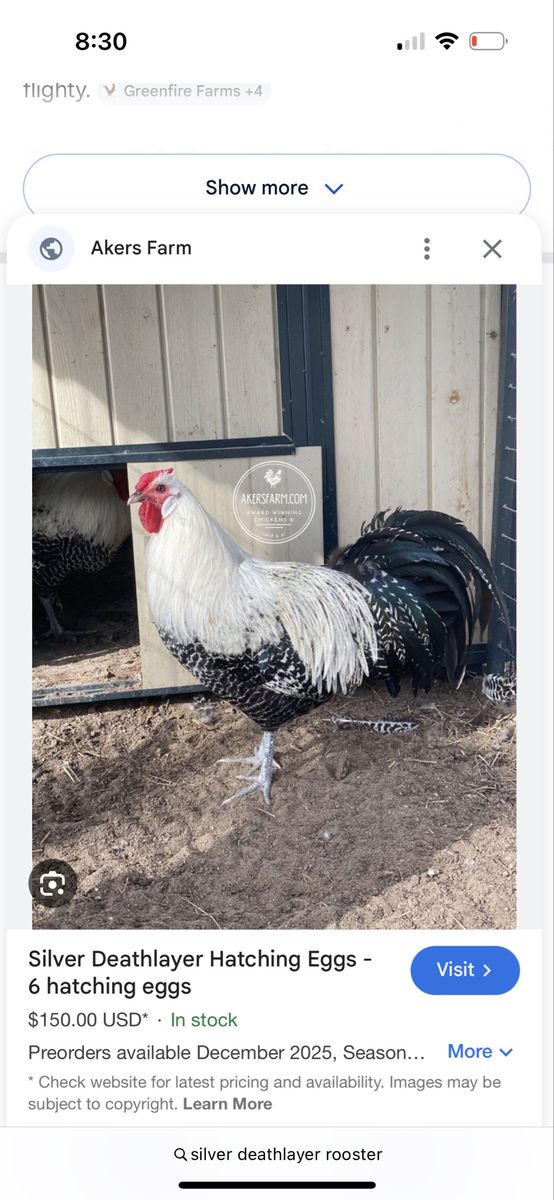 Rooster Silver Deathlayer