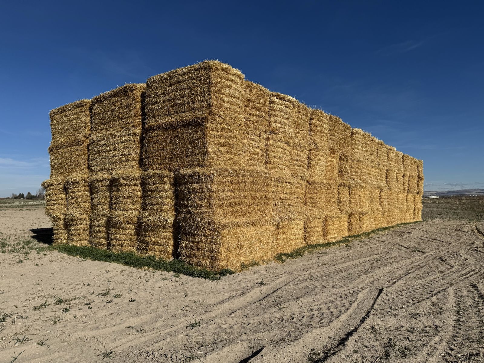660 4x4 bales of wheat straw