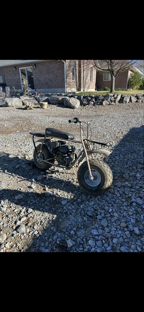 Coleman mini bike