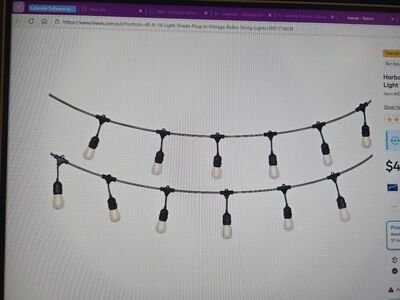 Harbor Breeze 48-ft Plug-in Black Outdoor String Light with 18 White -Light LED Edison Bulbs