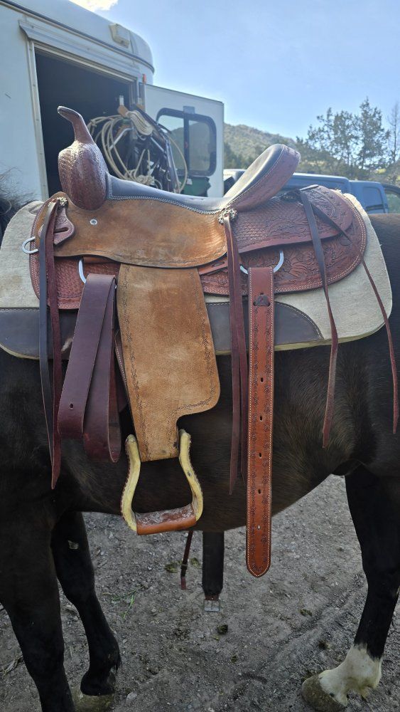 16 in saddle