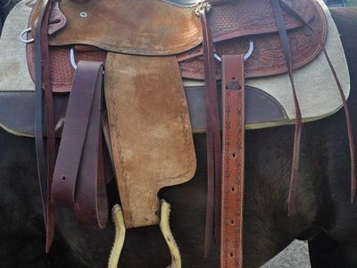 16 in saddle