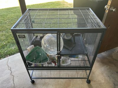 Critter Nation Double-Story Small Animal Cage with Stand - Used, Good Condition