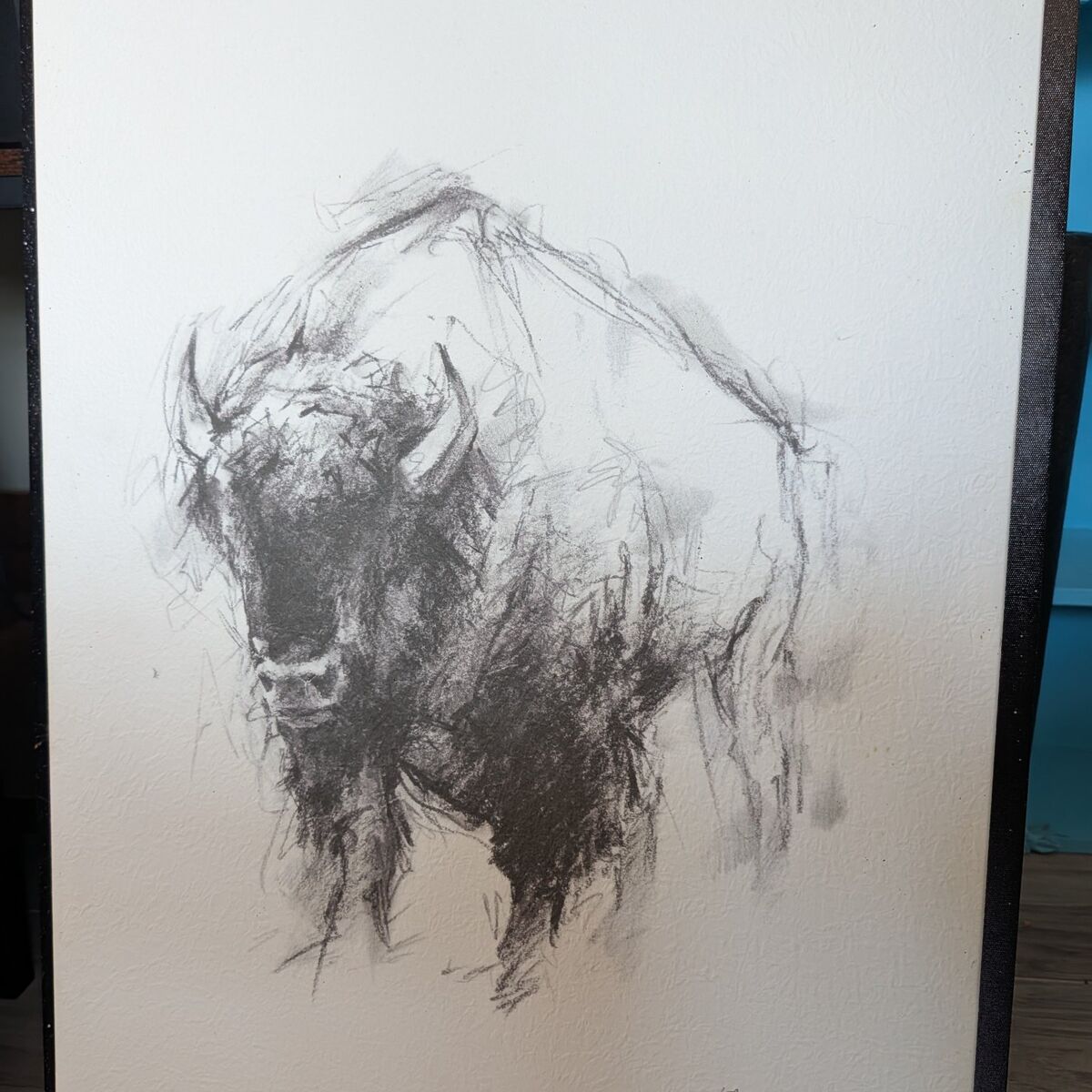 Buffalo Sketch Paintingb