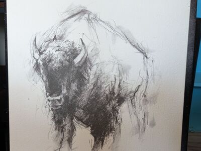Buffalo Sketch Paintingb