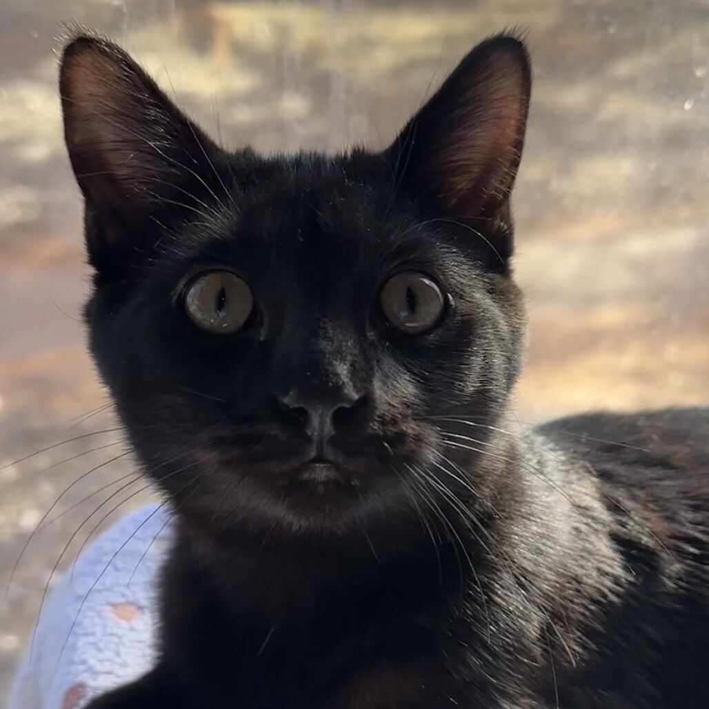 Hello my name is Fritz