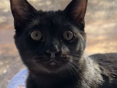 Hello my name is Fritz