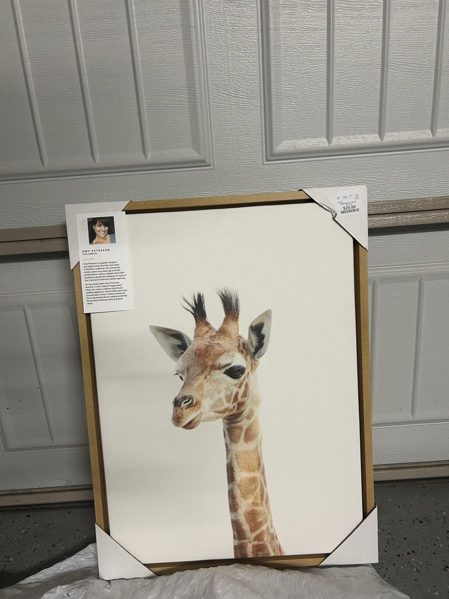 Amy Peterson Adorable Giraffe Canvas Art - 16x20 Inches, Framed, New Home Decor