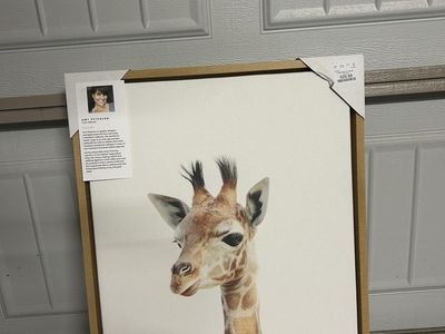 Amy Peterson Adorable Giraffe Canvas Art - 16x20 Inches, Framed, New Home Decor
