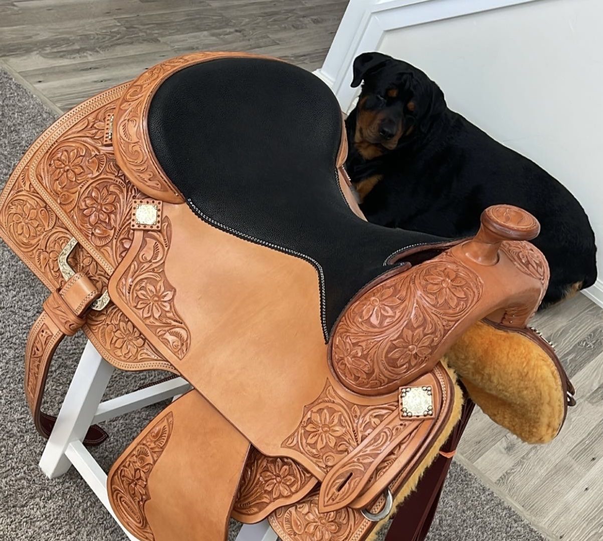 Equine Oasis 16" Padded Seat Western Saddle - Excellent Condition, Tooled Leather